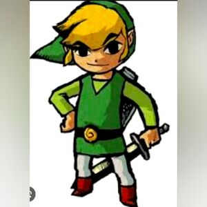 Link Costume. Tunic, Hat & Shoe covers only. size Teen one size